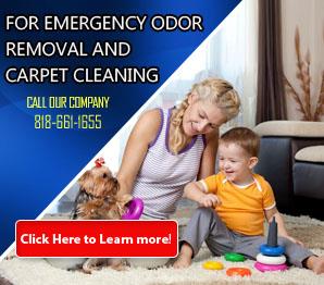 Office Carpet Cleaning - Carpet Cleaning Sherman Oaks, CA
