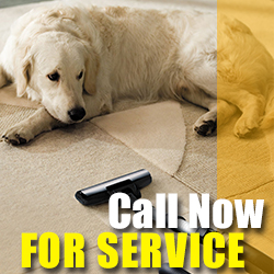 Contact Carpet Cleaning Company in California