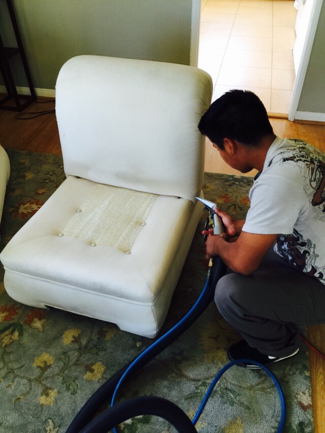 The Importance of Cleaning Upholstery